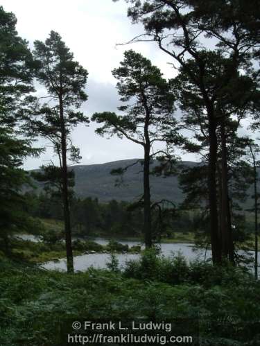 Lough Veagh